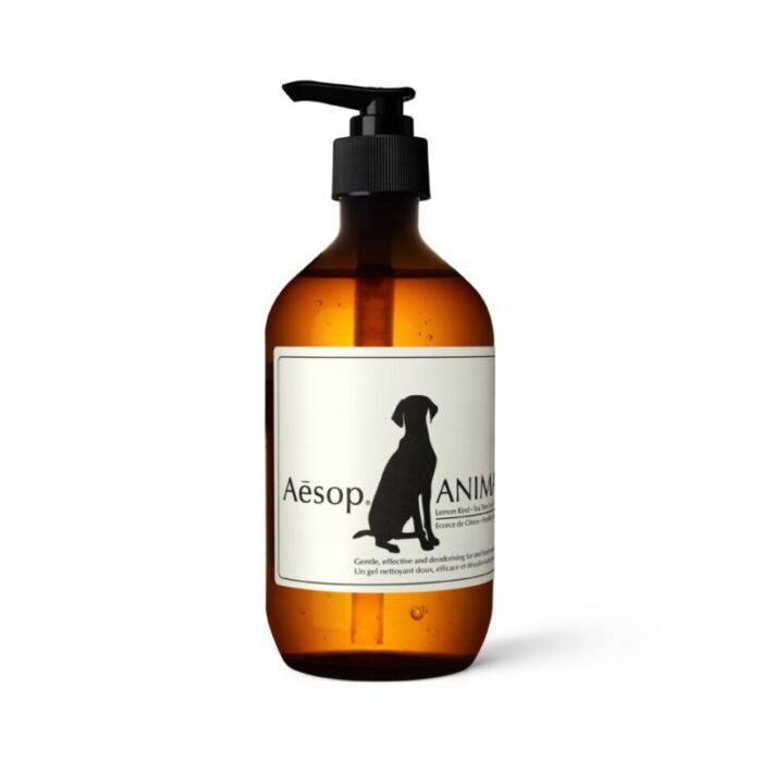 aesop animal 240220051514