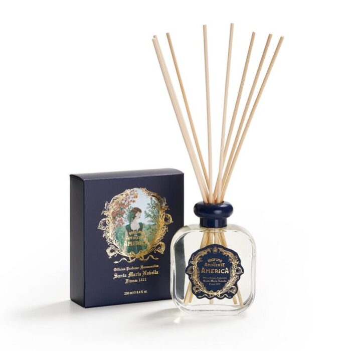 america room diffuser 230504095619